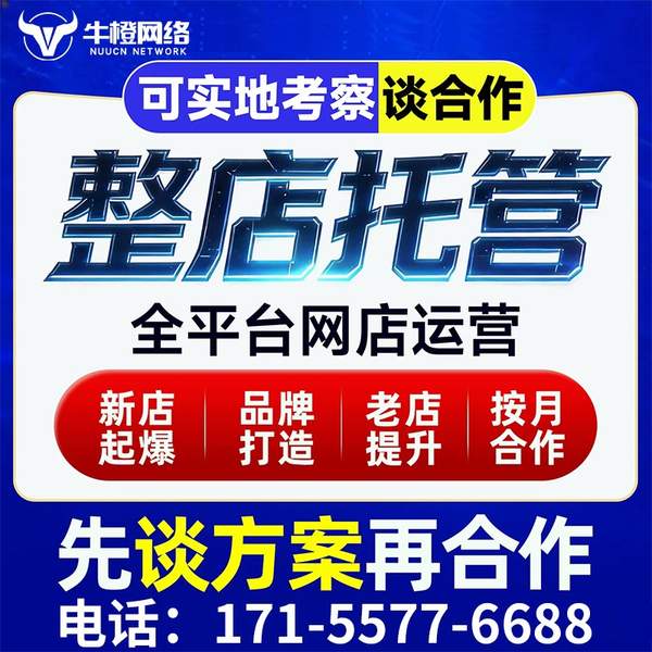 襄阳电商代运营